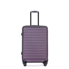 3 Pieces Luggage Sets ABS Lightweight Suitcase with Two Hooks, Spinner Wheels, TSA Lock, (20/24/28) Purple