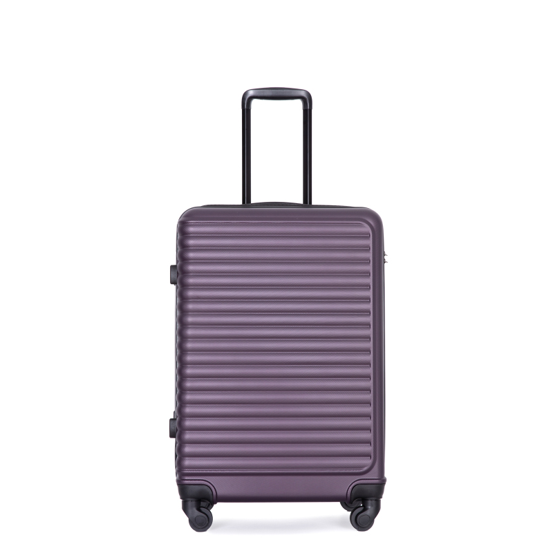 3 Pieces Luggage Sets ABS Lightweight Suitcase with Two Hooks, Spinner Wheels, TSA Lock, (20/24/28) Purple