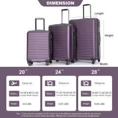 3 Pieces Luggage Sets ABS Lightweight Suitcase with Two Hooks, Spinner Wheels, TSA Lock, (20/24/28) Purple