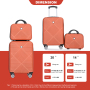 2Piece Luggage Sets ABS Lightweight Suitcase , Spinner Wheels, (20/14) DARK ORANGE 