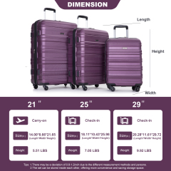 Expandable 3 Piece Luggage Sets PC Lightweight & Durable Suitcase with Two Hooks, Spinner Wheels, TSA Lock, (21/25/29) Dark Purple 