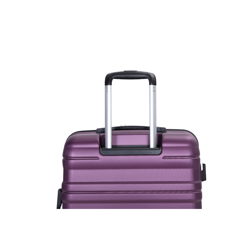 Expandable 3 Piece Luggage Sets PC Lightweight & Durable Suitcase with Two Hooks, Spinner Wheels, TSA Lock, (21/25/29) Dark Purple 