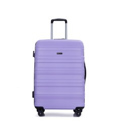 Комплект валіз Tripcomp Hardside Luggage Set із 3 предметів (21/25/29) Легкий комплект валіз на 4 колесах (фіолетовий)