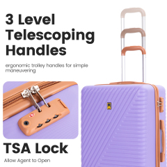 Juegos de equipaje de 6 piezas, juego de maletas rígidas con ruedas giratorias, cerradura TSA con bolsa de lona y cubos de embalaje de 2 piezas, color morado
