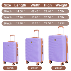 Juegos de equipaje de 6 piezas, juego de maletas rígidas con ruedas giratorias, cerradura TSA con bolsa de lona y cubos de embalaje de 2 piezas, color morado