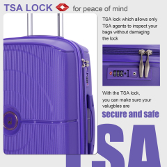 Landisun Luggage Sets 3 Piece, Hard Shell Suitcase Set with Double Spinner Wheels TSA Lock Carry On and Checked Travel Luggage, Purple(20/24/28)