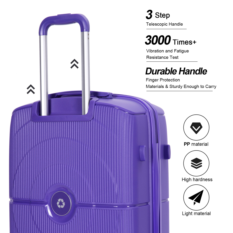 Landisun Luggage Sets 3 Piece, Hard Shell Suitcase Set with Double Spinner Wheels TSA Lock Carry On and Checked Travel Luggage, Purple(20/24/28)