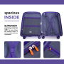 Landisun Luggage Sets 3 Piece, Hard Shell Suitcase Set with Double Spinner Wheels TSA Lock Carry On and Checked Travel Luggage, Purple(20/24/28)