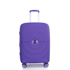 Expandable Hardshell Suitcase Double Spinner Wheels PP Luggage Sets Lightweight Durable Suitcase with TSA Lock,3-Piece Set (20/24/28) ,Purple