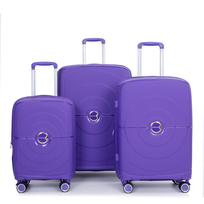 Expandable Hardshell Suitcase Double Spinner Wheels PP Luggage Sets Lightweight Durable Suitcase with TSA Lock,3-Piece Set (20/24/28) ,Purple