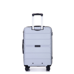 Hardshell Suitcase Spinner Wheels PP Luggage Sets Lightweight Durable Suitcase with TSA Lock,3-Piece Set (20/24/28) ,Silver