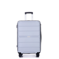 Hardshell Suitcase Spinner Wheels PP Luggage Sets Lightweight Durable Suitcase with TSA Lock,3-Piece Set (20/24/28) ,Silver
