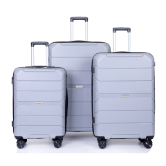 Hardshell Suitcase Spinner Wheels PP Luggage Sets Lightweight Durable Suitcase with TSA Lock,3-Piece Set (20/24/28) ,Silver