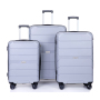 Hardshell Suitcase Spinner Wheels PP Luggage Sets Lightweight Durable Suitcase with TSA Lock,3-Piece Set (20/24/28) ,Silver