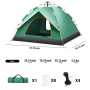 Forest Myth 2-4 Person Instant Camping Tent, Easy Automatic Pop up Tents for Camping/Outdoor/Beach/Hiking/Traveling,Green