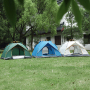 Forest Myth 2-4 Person Instant Camping Tent, Easy Automatic Pop up Tents for Camping/Outdoor/Beach/Hiking/Traveling,Green