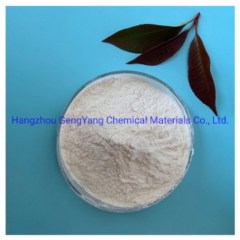 High Quality Powder Emulsifier of Acetylated Mono- and Diglycerides E472A