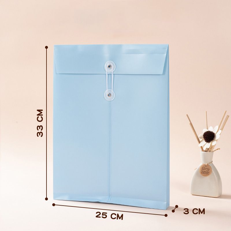 new design Color PVC Envelope Bag A4 Office Plastic Transparent File Folder Document Storage Bag With String Closure
