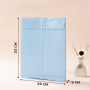 new design Color PVC Envelope Bag A4 Office Plastic Transparent File Folder Document Storage Bag With String Closure