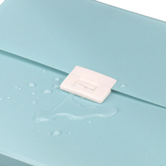 Hot Sales Pockets Plastic Document File Folder Tabs Paper Organizer Medical Expanding File Folder