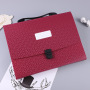 Wholesale New design FC 13 Pockets Colorful Folder PVC Expanding File