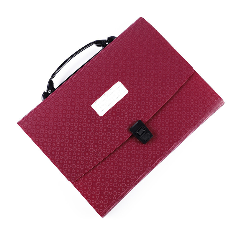 Wholesale New design FC 13 Pockets Colorful Folder PVC Expanding File
