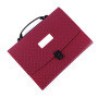 Wholesale New design FC 13 Pockets Colorful Folder PVC Expanding File