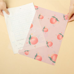 Snap file  information bag wholesale waterproof storage test paper A4 Document bag