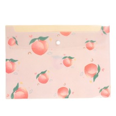 Snap file  information bag wholesale waterproof storage test paper A4 Document bag
