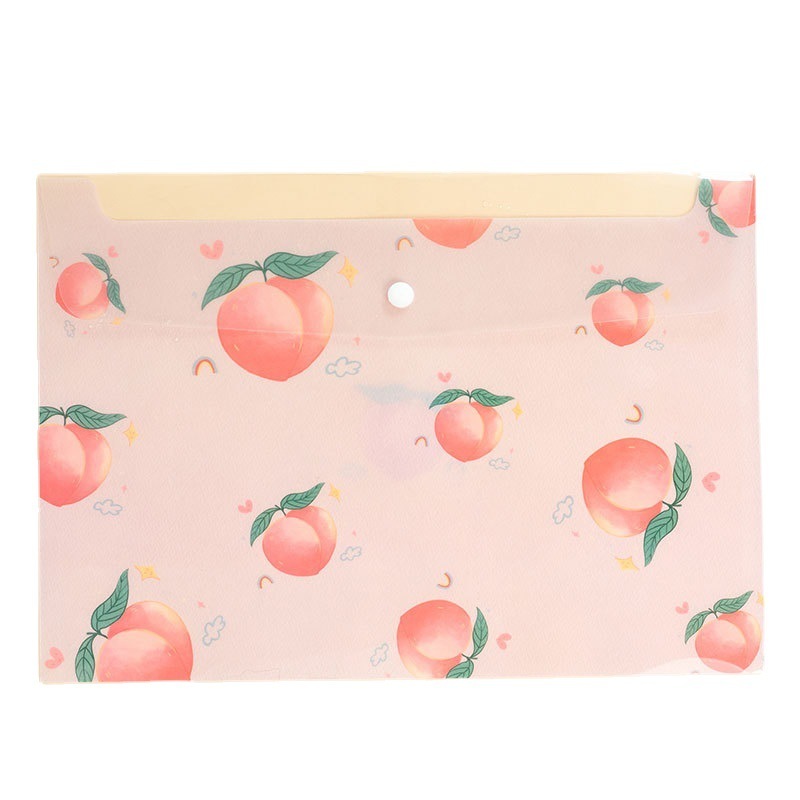 Snap file  information bag wholesale waterproof storage test paper A4 Document bag