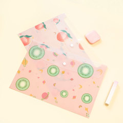 Snap file  information bag wholesale waterproof storage test paper A4 Document bag