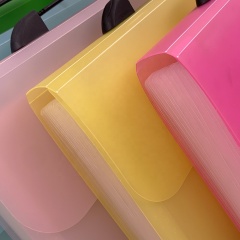 stationery Clear plastic presentation side tab classification office custom modern a4 size plastic expanding file folder