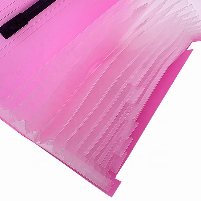 stationery Clear plastic presentation side tab classification office custom modern a4 size plastic expanding file folder