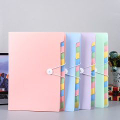 Color A4 PVC Plastic Pocket Expandable File Organizer Filling Folder For Office School Supplies