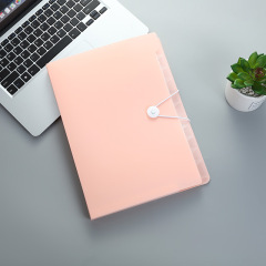 Color A4 PVC Plastic Pocket Expandable File Organizer Filling Folder For Office School Supplies