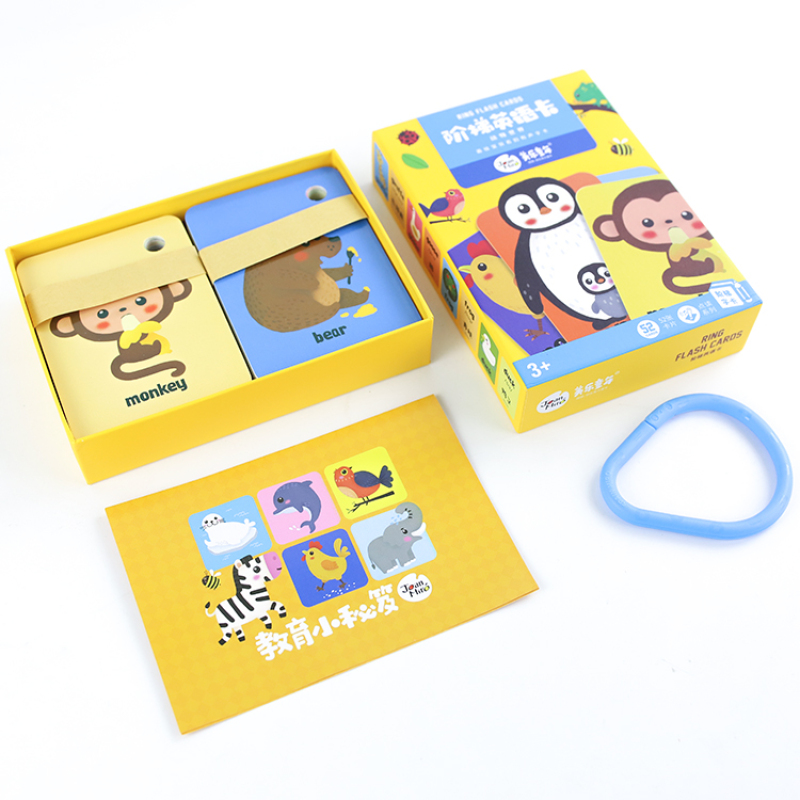 Flash Memory Card Number And Alphabet Flash Card Printing Flash Card Set
