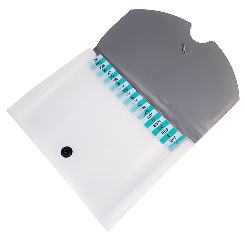 stationery Hot selling multicolor large capacity A4 pp file folder
