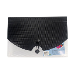 stationery Hot selling multicolor large capacity A4 pp file folder