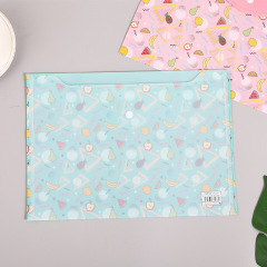 new design A4 Hot sale thickened document bag snap bag spot wholesale new fireproof bag for documents