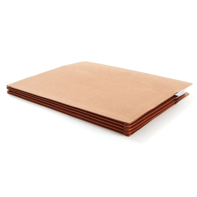 5.25 inch paper expanding file