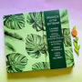 Planner fold set