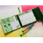 Planner fold set