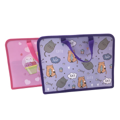 A4 PP handbag with beautiful design