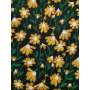 Multicolour full blossom LINEN-COTTON GROUND ,POLYESTER Multicolour EMB THREADS pattern-PASTORALE style embroidery lace fabric-B16233