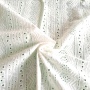 Natural white for  hot sale 100% cotton voile stripe embroidery fabric-B15853-1
