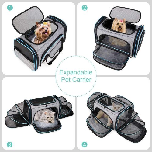 Wholesale Dog Travel Bag Portable Transparent Pet Carrier Bag Manufacturer