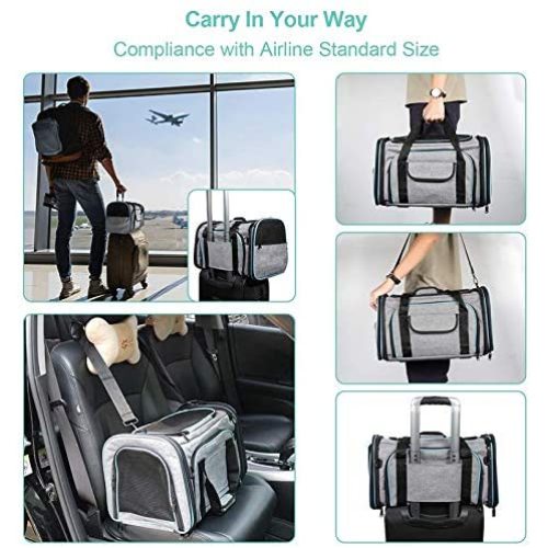 Wholesale Dog Travel Bag Portable Transparent Pet Carrier Bag Manufacturer
