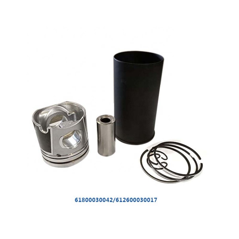Piston Assembly Liner Kit Price WD618 Piston Diesel Engine Spare Parts