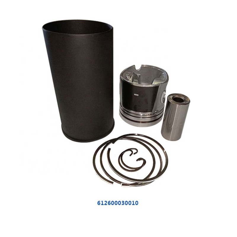 Piston Assembly Liner Kit Price WD618 Piston Diesel Engine Spare Parts