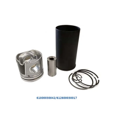 Piston Assembly Liner Kit Price WD618 LINER KIT Piston RING Diesel Engine Spare Parts